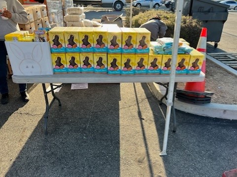 chocolate-bunnies-2023