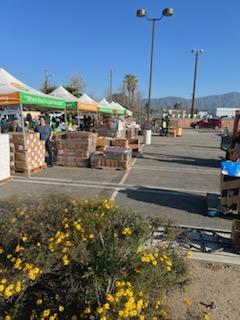 Easter distribution on Pomona